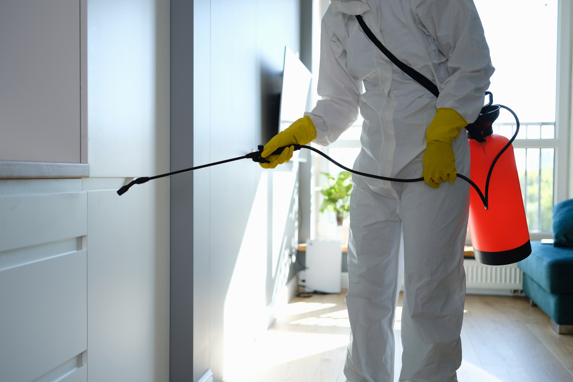 Why Is Pest Inspection Important